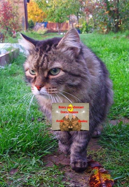 ���� ���� � ����.J. ������, �������� �������, �����������, �92