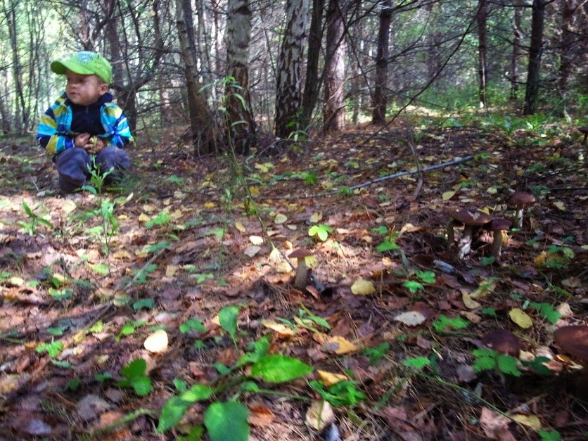 ���� ��������� ���.. ������, �������� �������, �����������, �92