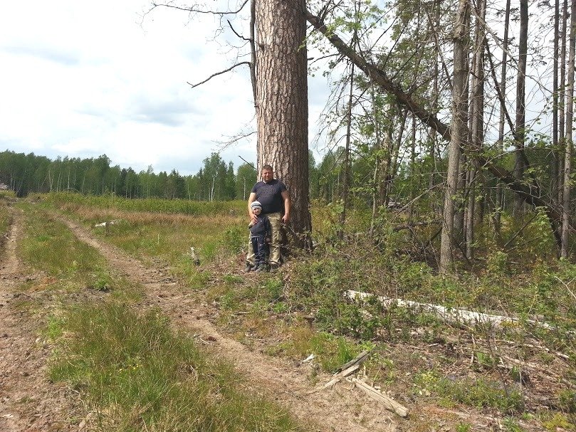 ���� ����� ��������� ����� �� �������.jpg. ������, �������� �������, �����������, �92