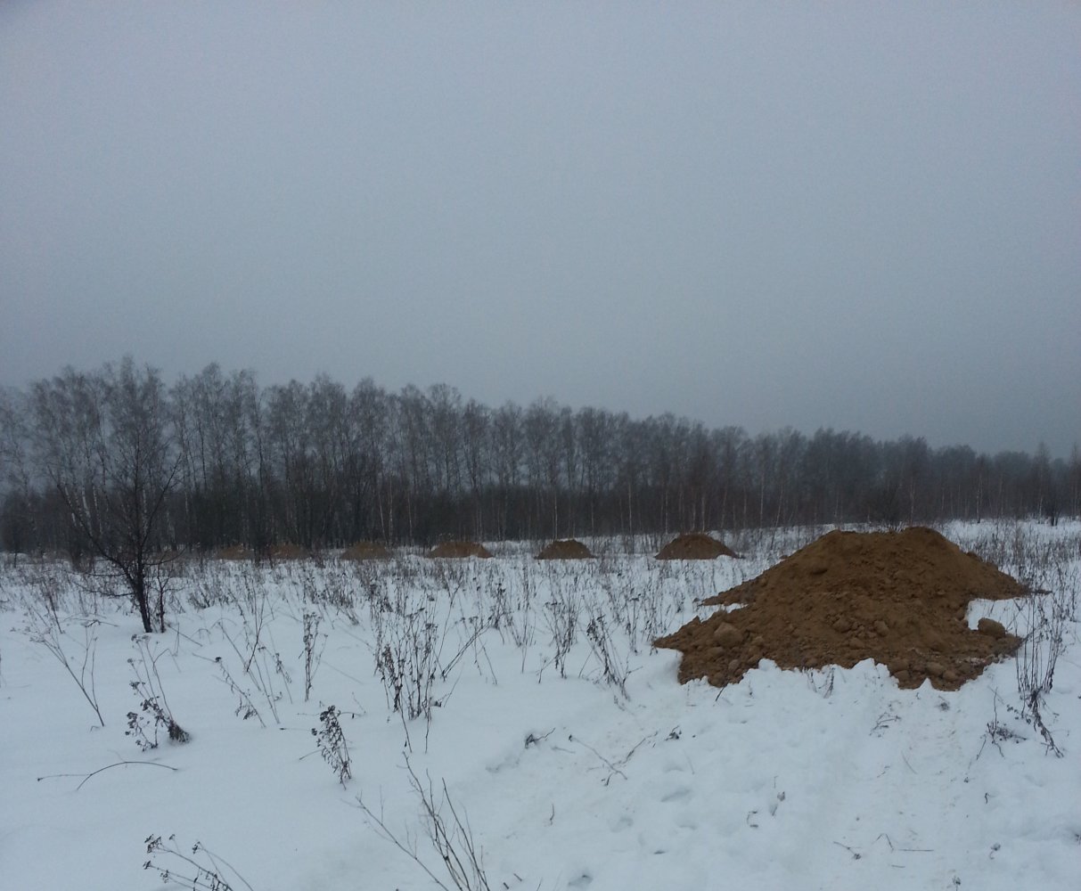 ���� ������ ������� ��� 2016. ������, �������� �������, �����������, �92