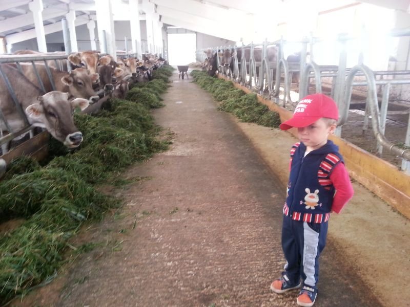 ���� 1286_������� ���������.jpg. ������, �������� �������, �����������, �92