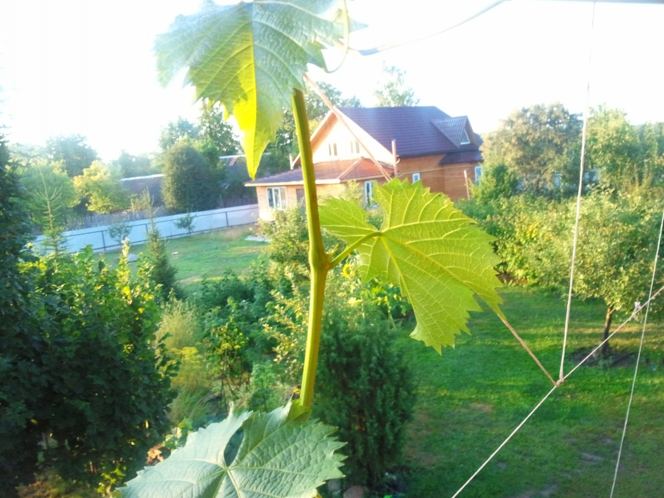 ���� ���Ҩ� ������ �.... ������, �������� �������, �����������, �92