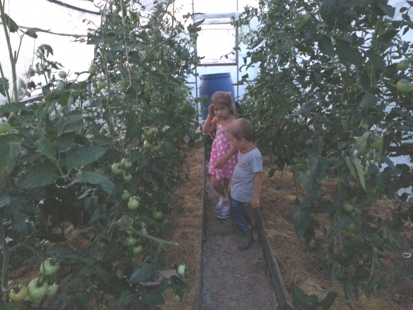 ���� ���� � ���������.jpg. ������, �������� �������, �����������, �92