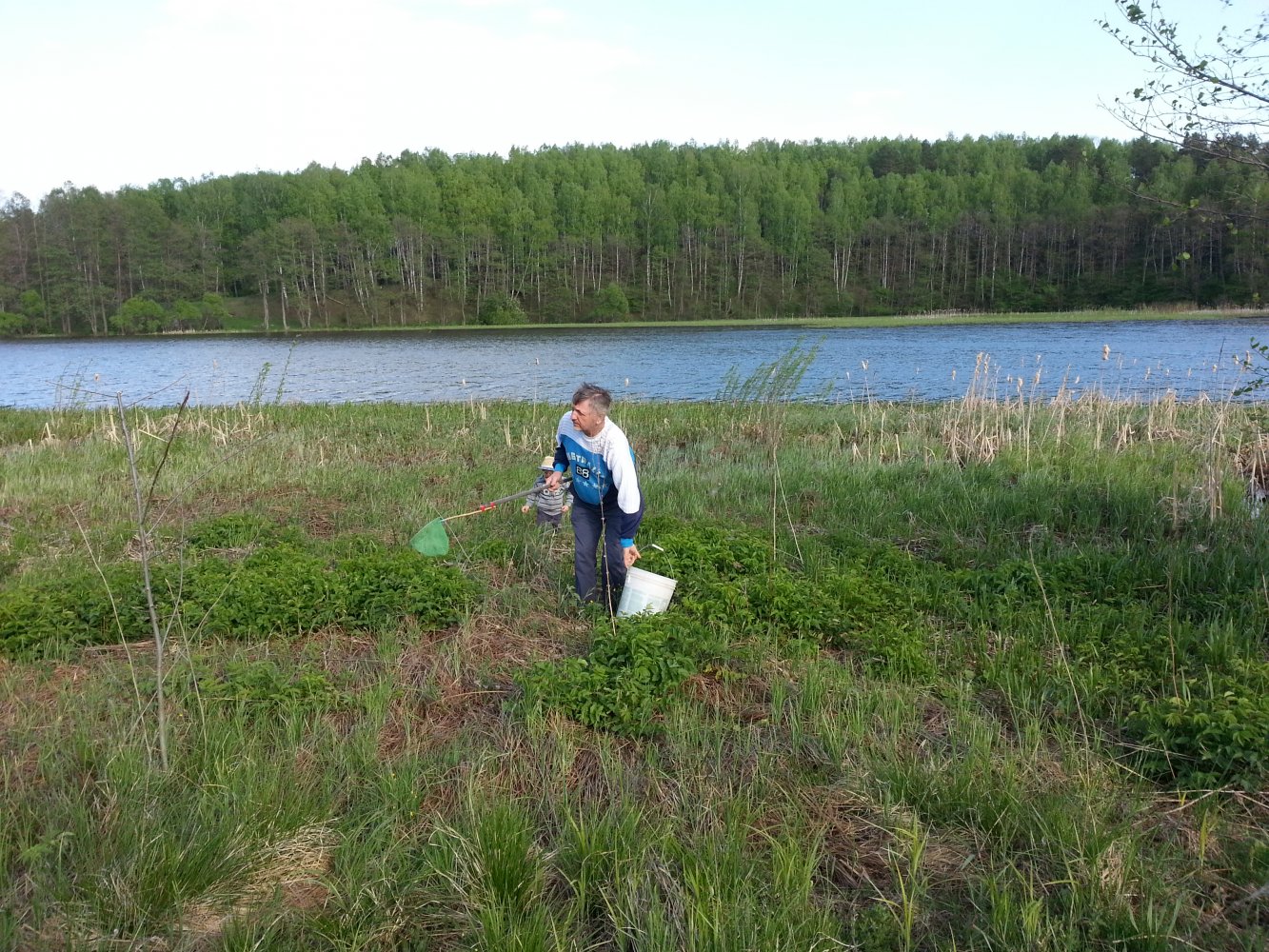 ���� �������� �������...j�� ���������.. ������, �������� �������, �����������, �92