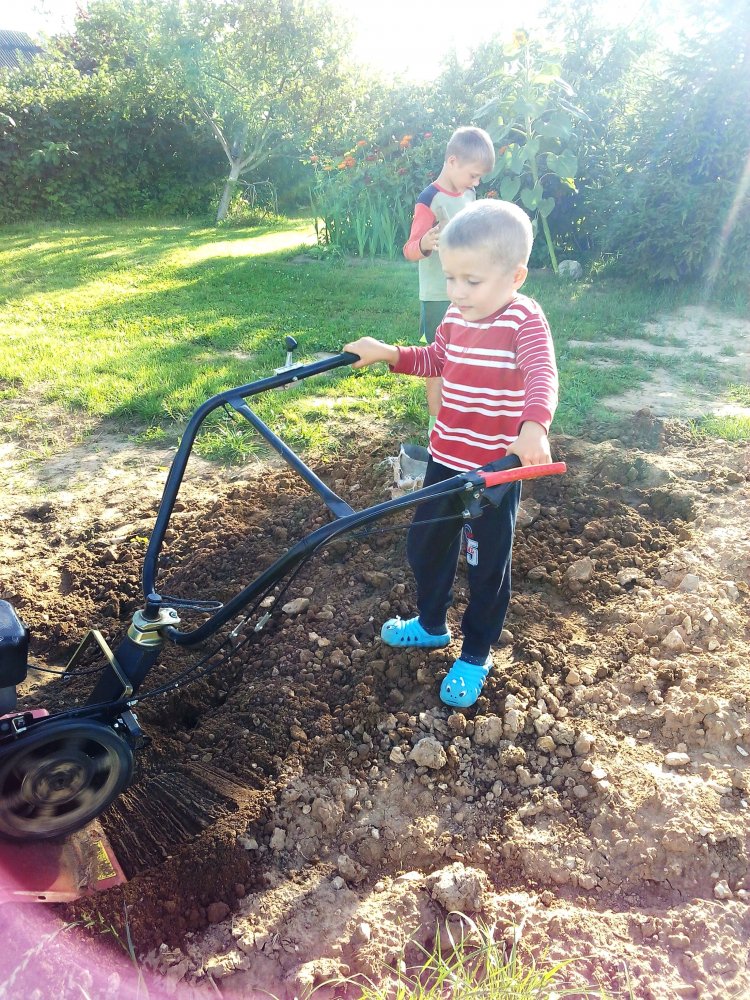 ���� ������ �� �������...jpg. ������, �������� �������, �����������, �92