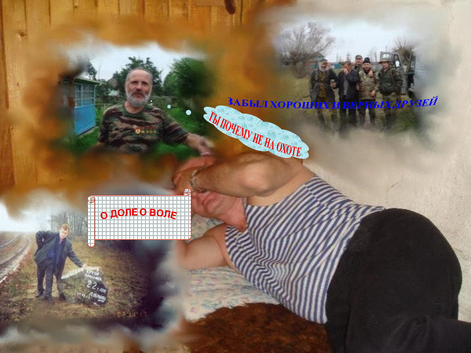 ���� ���� ��������....GIF. ������, �������� �������, �����������, �92