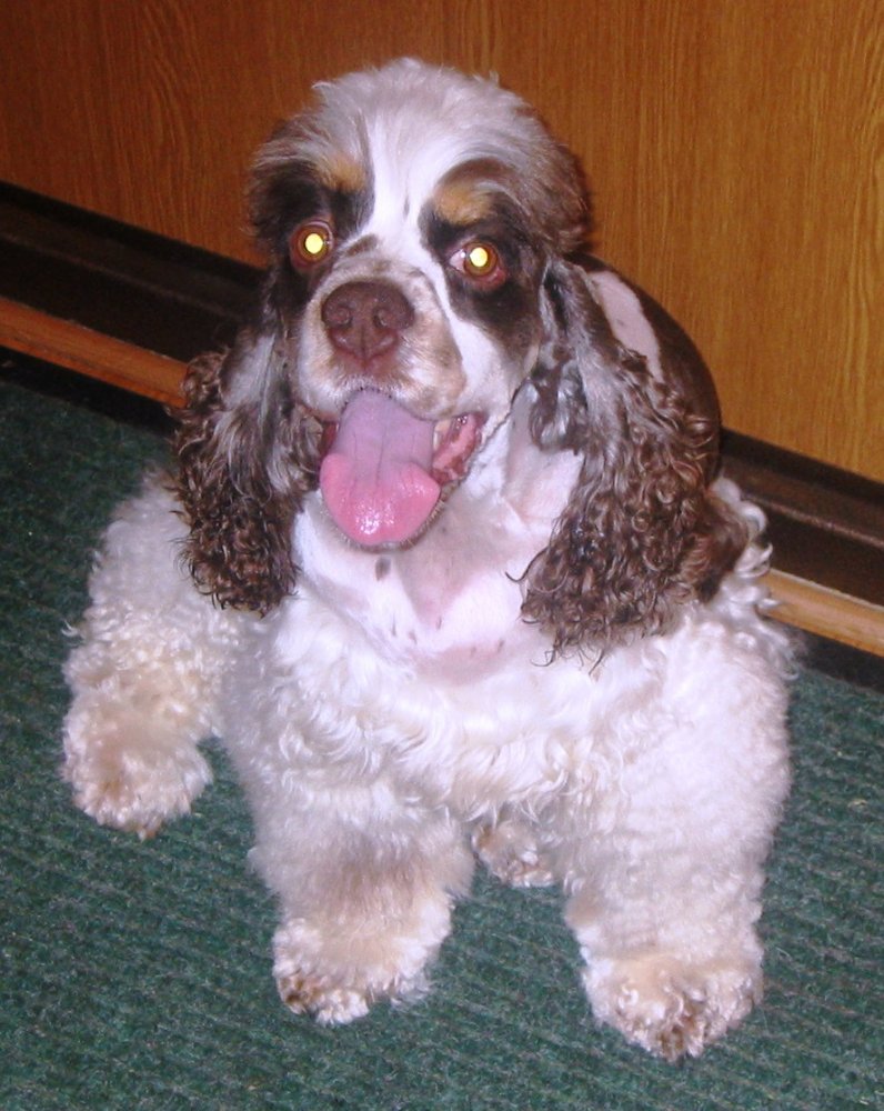 ���� ����� �������... ������, �������� �������, �����������, �92