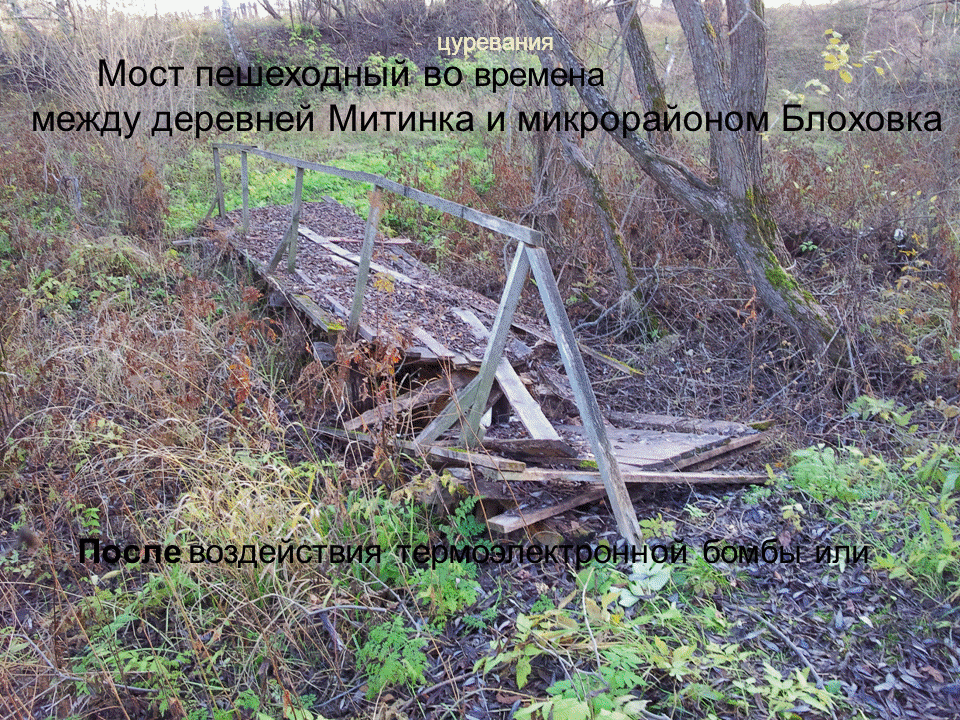 ���� ������ ����� ��������� � ��������...GIF. ������, �������� �������, �����������, �92