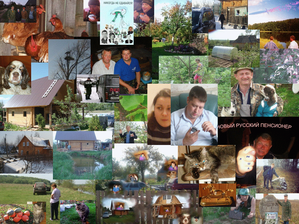 ���� ������ ��� ���������� � ������.GIF. ������, �������� �������, �����������, �92