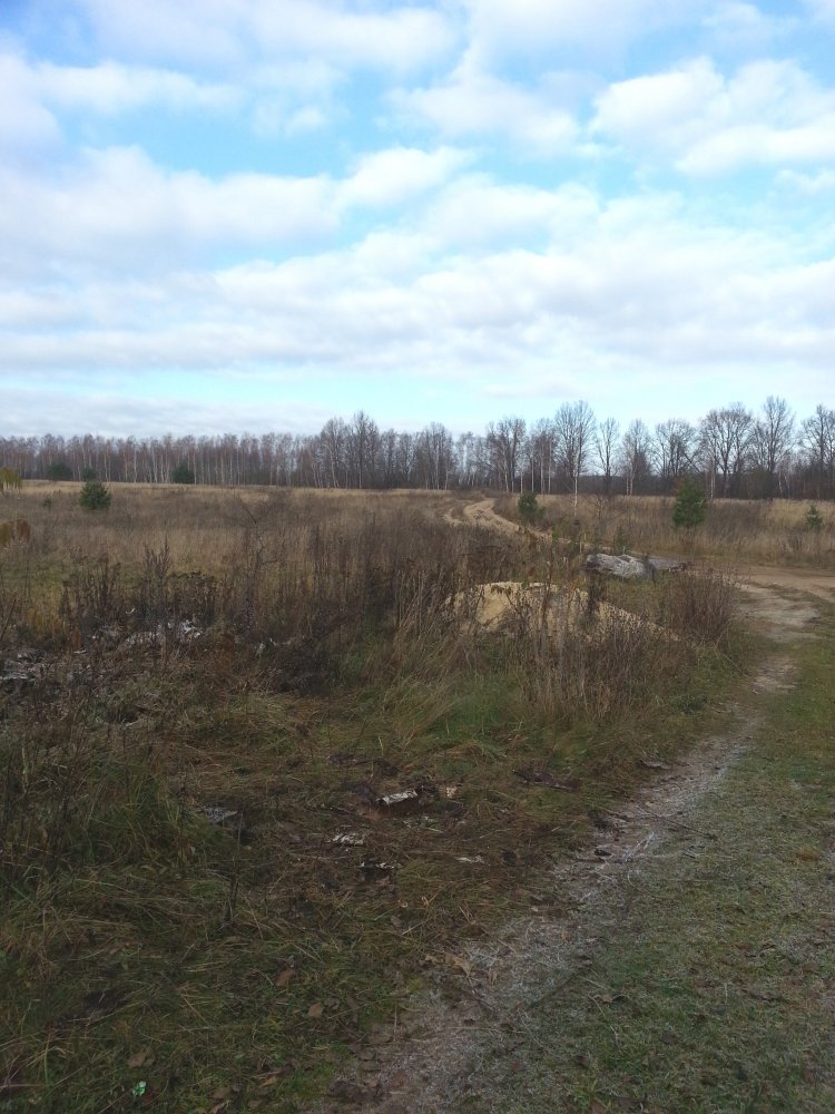 ���� ����� �� ���������� 2017 ������...jpg. 