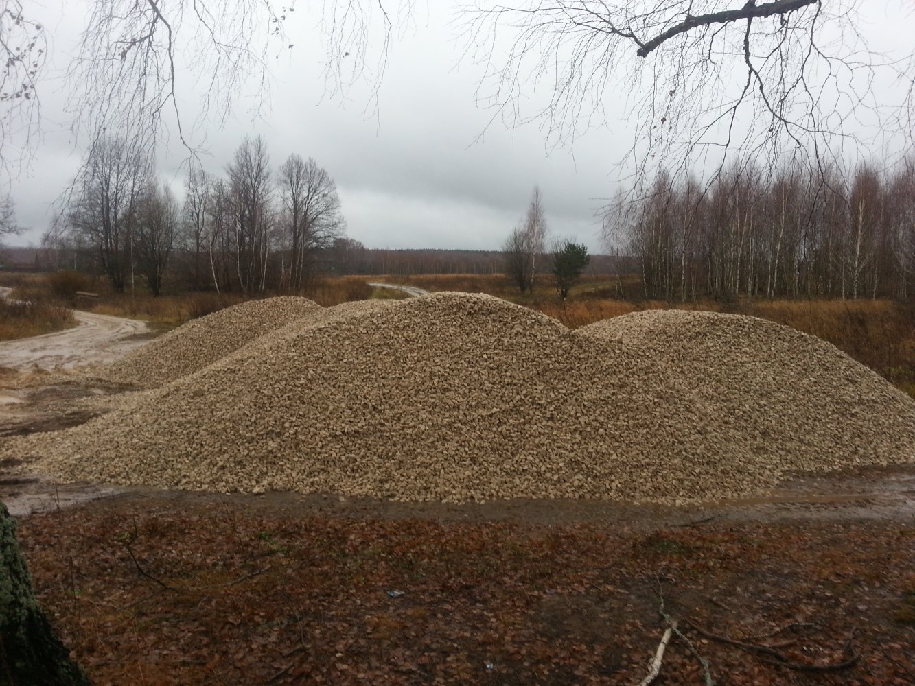 ���� ������ ��������� �� 20 ���....jpg. 