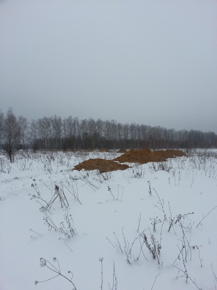 ���� ������ ��������� ������� ����� ...jpg. 