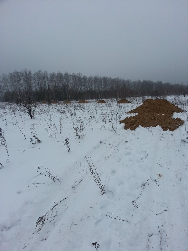 ���� ������ ������� 17.12.16.JPG. 