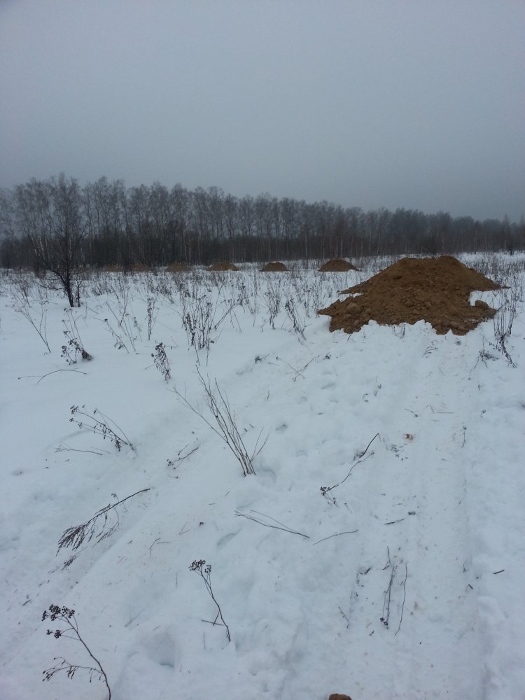 ���� ������ �������.JPG. 