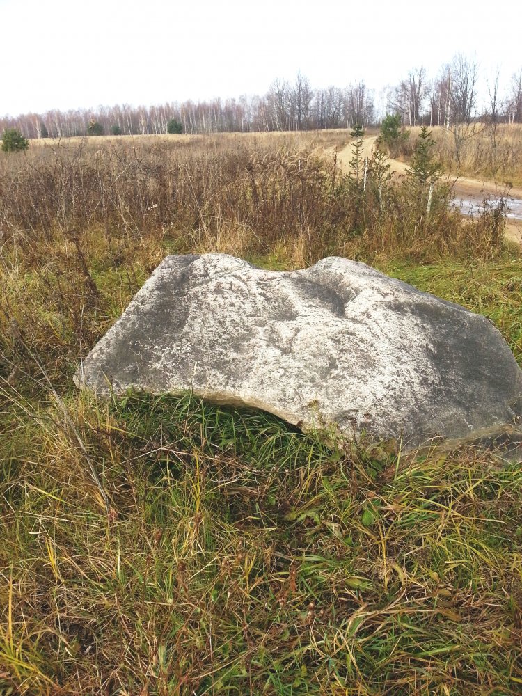 ���� ������ ���������� ������....jpg. 