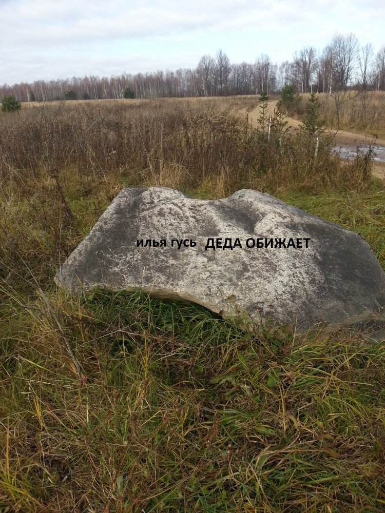 ���� ����  ���� �������.. 