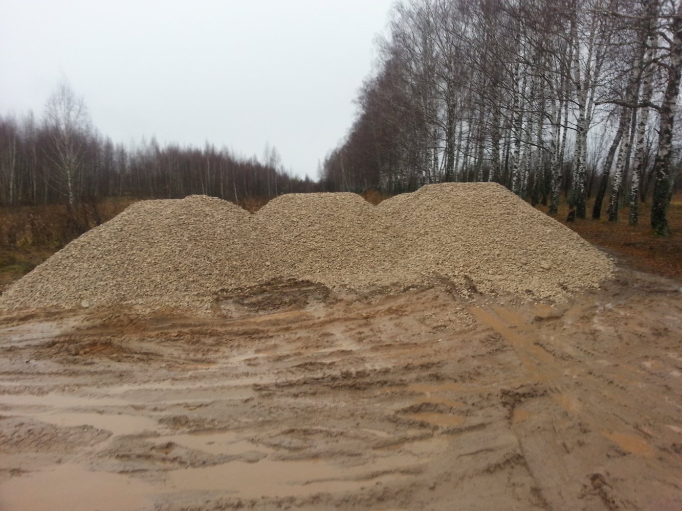 ���� ������ �� ���. 