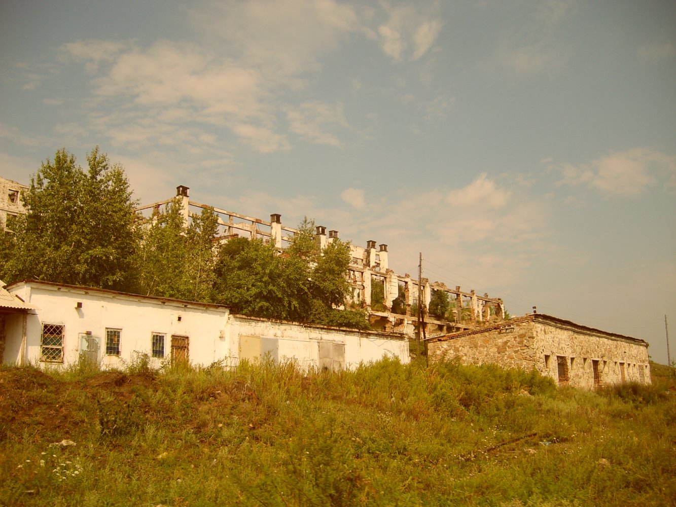  S6009537.JPG. ,  , ,  