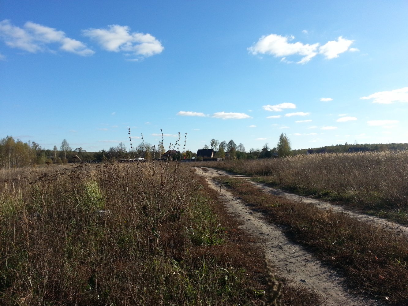 ���� ����������������� 2001.jpg. 