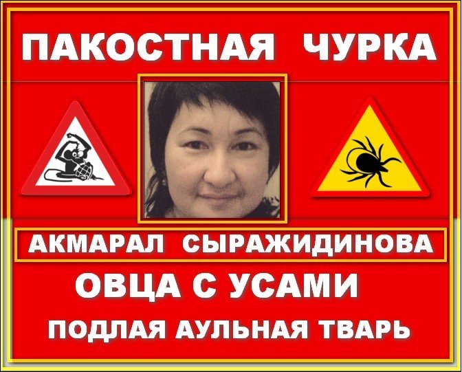 ���� ����������_�����.jpg. ������, ����� ������, �������� �������, 31�