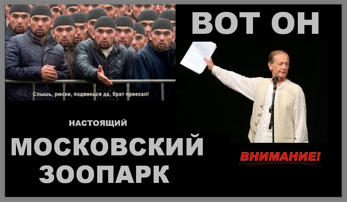 ���� ���������_�������1.jpg. ������, ����� ������, �������� �������, 31�