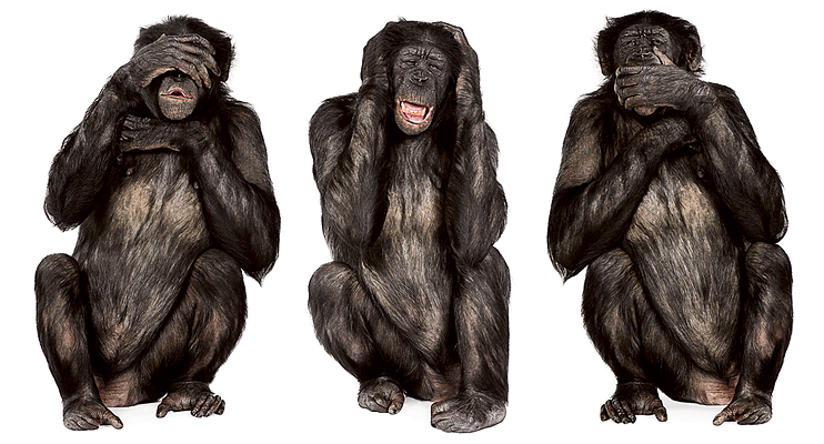 ���� 974.png. ������, ����� ������, �������� �������, 35