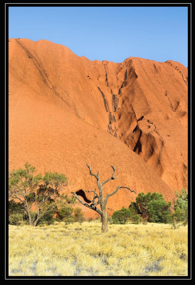  1487-1 (Copy).jpg. , Northern Territory, Uluru Summit Walk