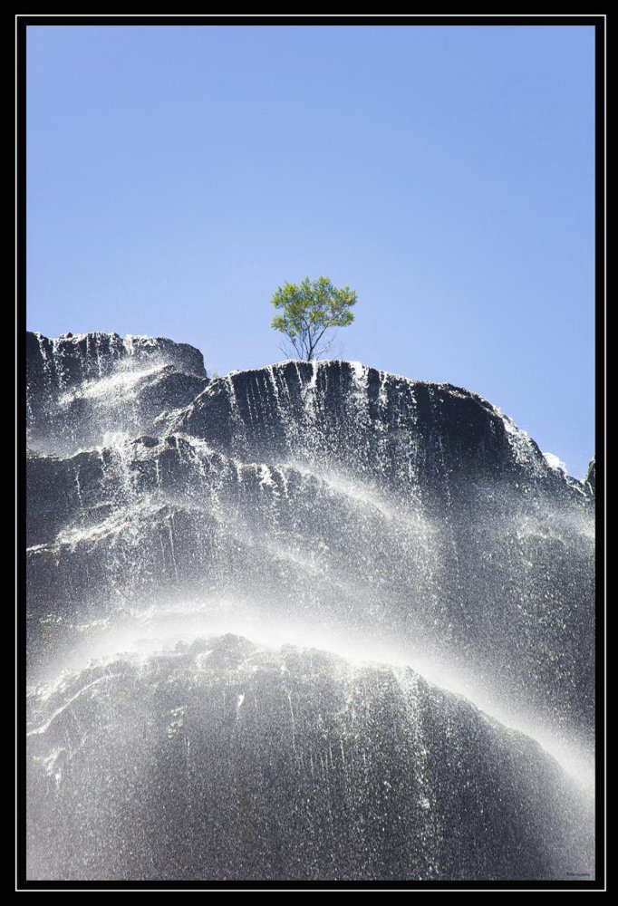  6143_3 (Copy).jpg. , New South Wales, Blue Mountains National Park, Hurley Heights Trail