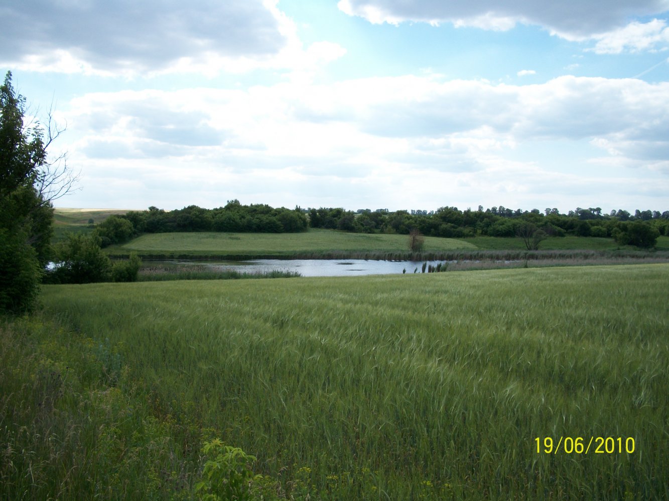  100_1385.JPG          -. . , ʳ , 12