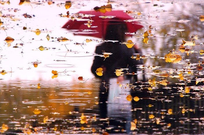 ���� 101.JPG. ������, ����� ������, ����������� ������, 38