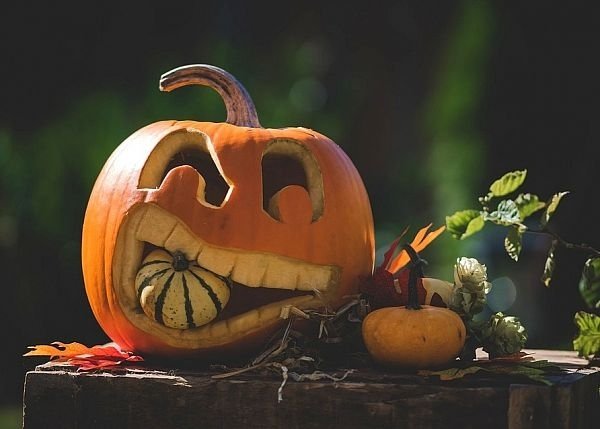 ���� JPG. ������, ����� ������, ����������� ������, 38