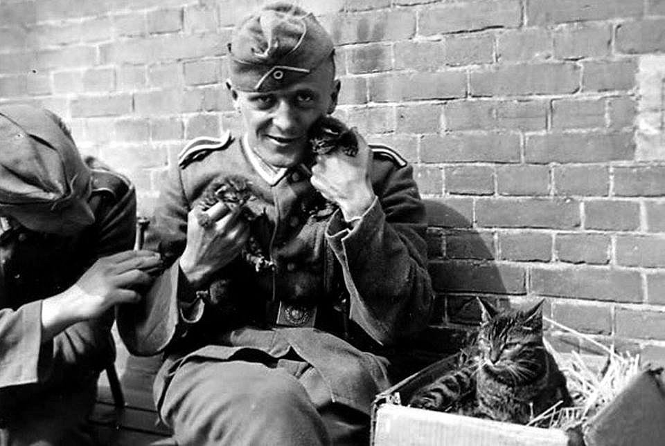  soldaten mit katzen.jpg. 