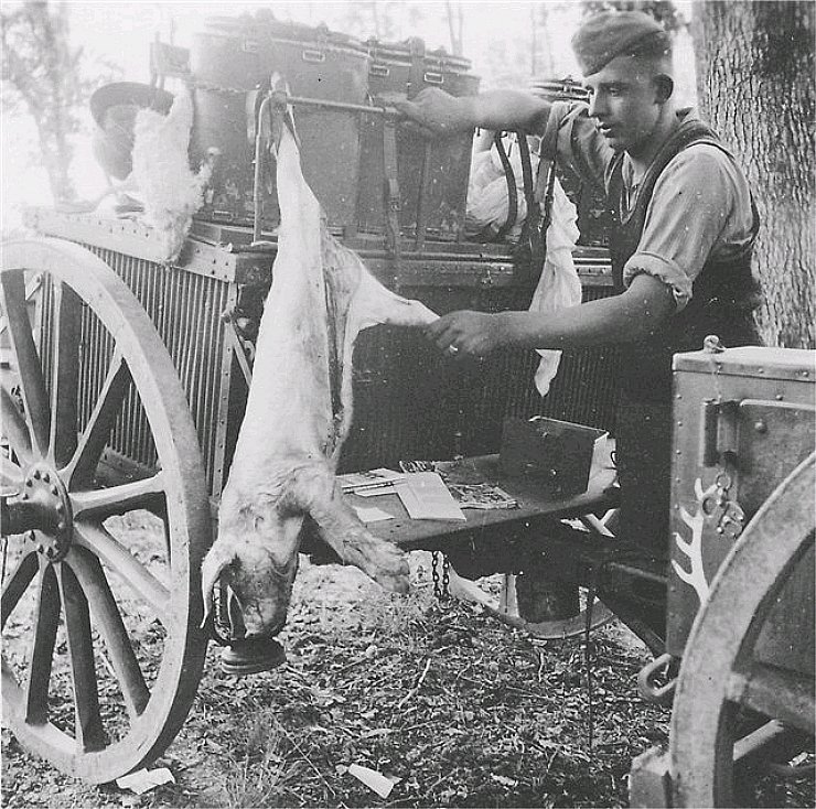  soldat zeigt schweinchen.jpg. 