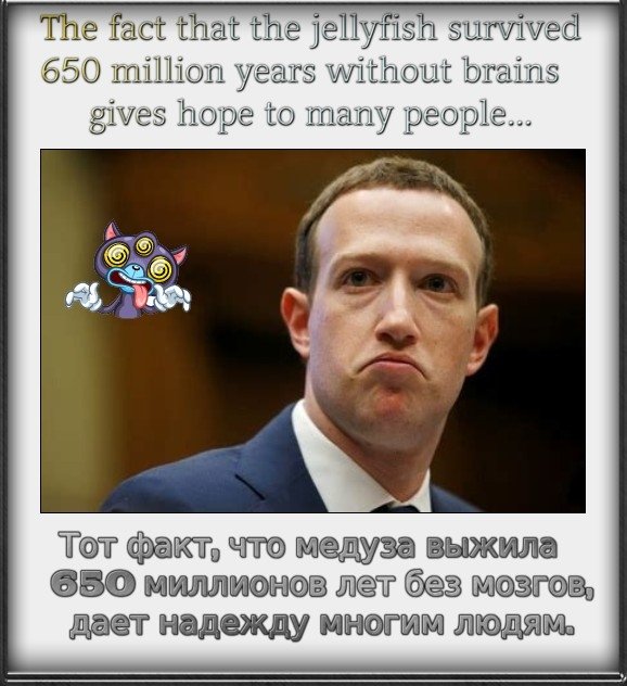  Mark Elliot Zuckerberg,   shitty businessman.   , , 