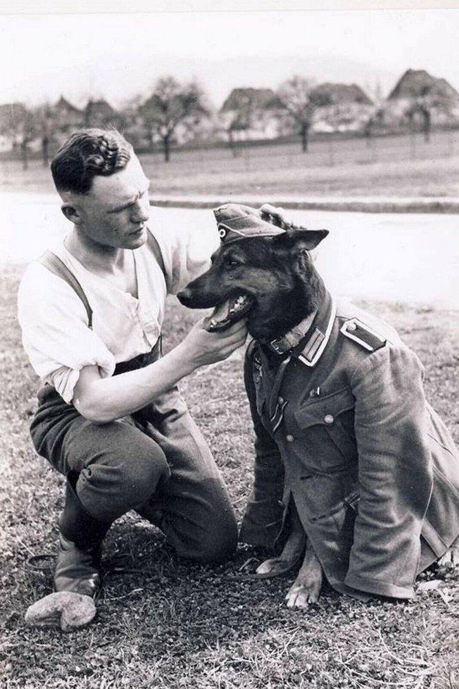  hund soldat.jpg. 