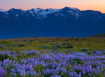    .   , Washington, Forks, Hoh Valley Road