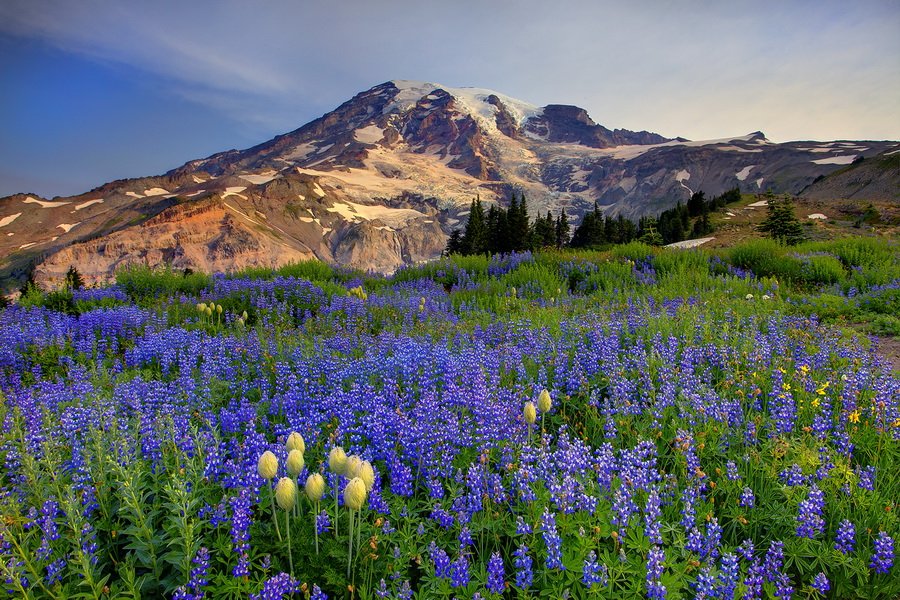    .   , Washington, Forks, Hoh Valley Road