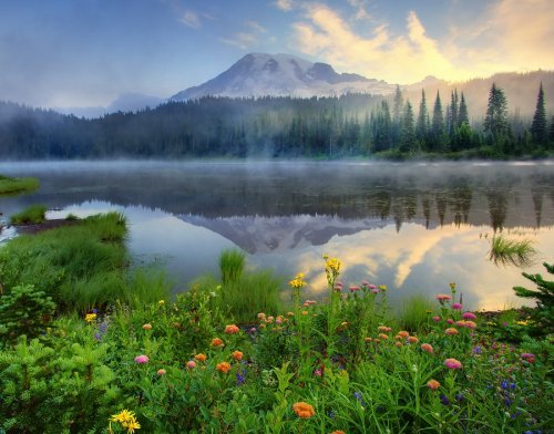    .   , Washington, Forks, Hoh Valley Road