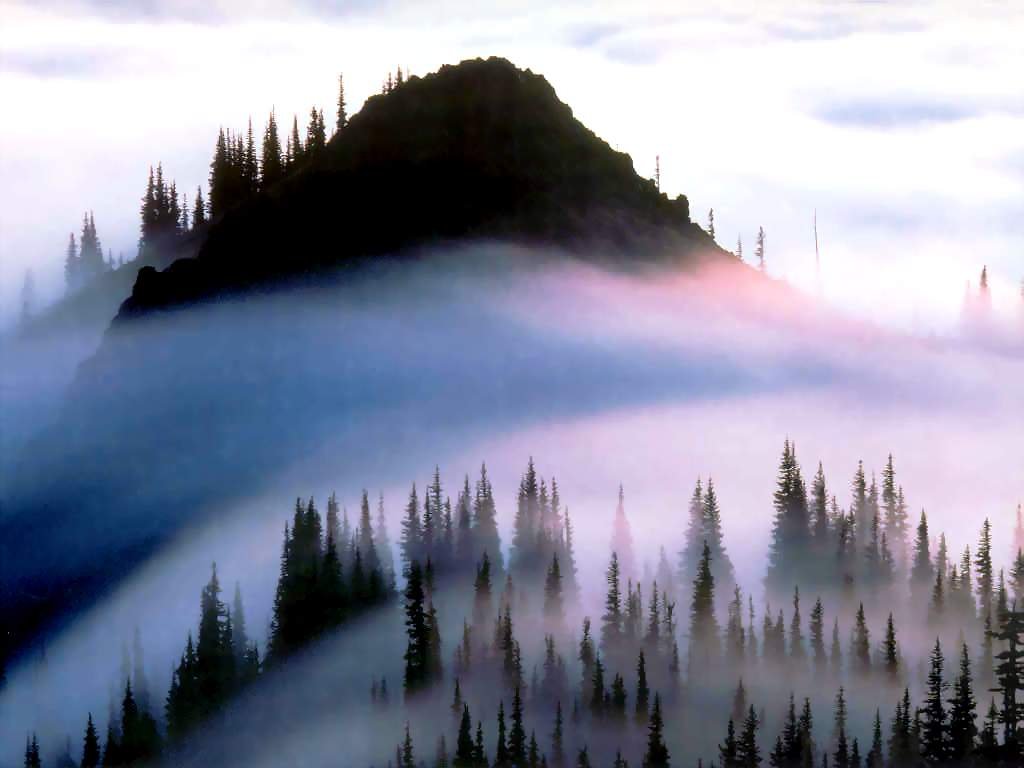    .   , Washington, Forks, Hoh Valley Road