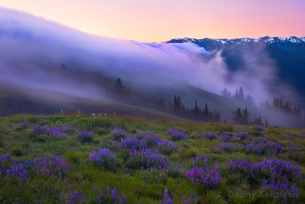    .   , Washington, Forks, Hoh Valley Road