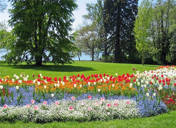  - . , -, , Insel Mainau, , 1