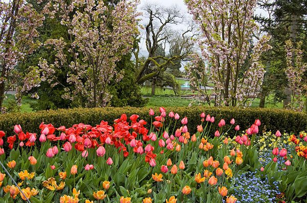  - . , -, , Insel Mainau, , 1