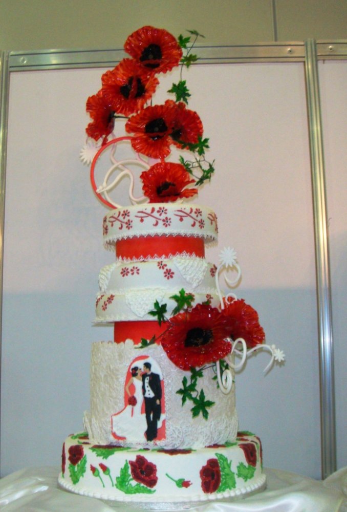 ���� ����������� ����. ������, ����� ������, ���� 66 �������� (�����.)