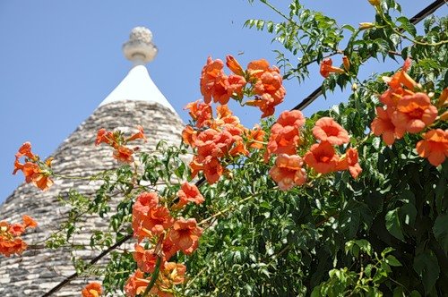  . , , Alberobello, Vico Chiesa Matrice, 14