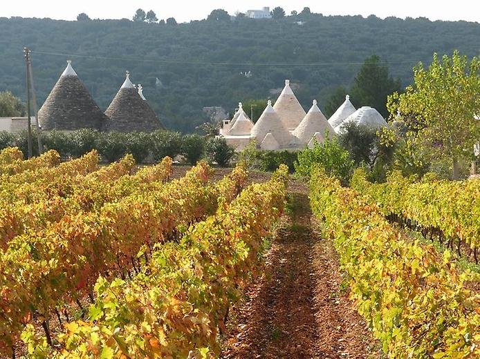  . , , Alberobello, Vico Chiesa Matrice, 14