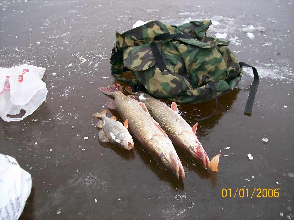 Фото Рыбалка По первому льду.. Россия, Нижегородская область, Филинское, Р125, 82
