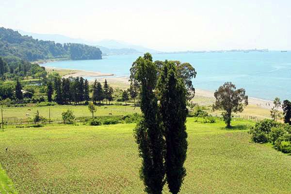  . , Adjara, Mtsvane Kontskhi Road