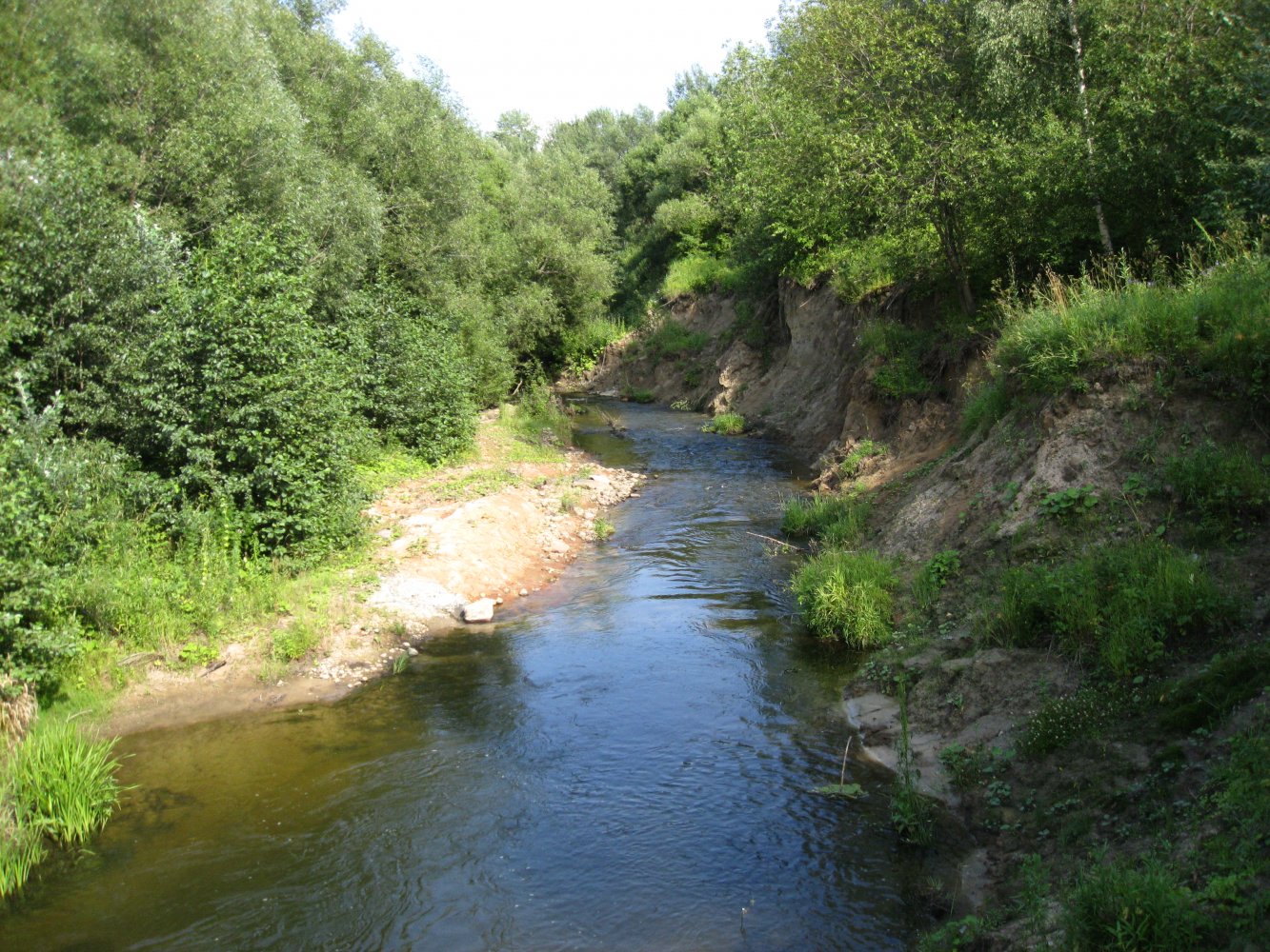 Исток реки Истья Калужская область