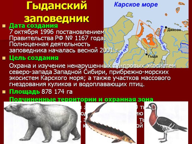 Презентация верхне тазовский заповедник