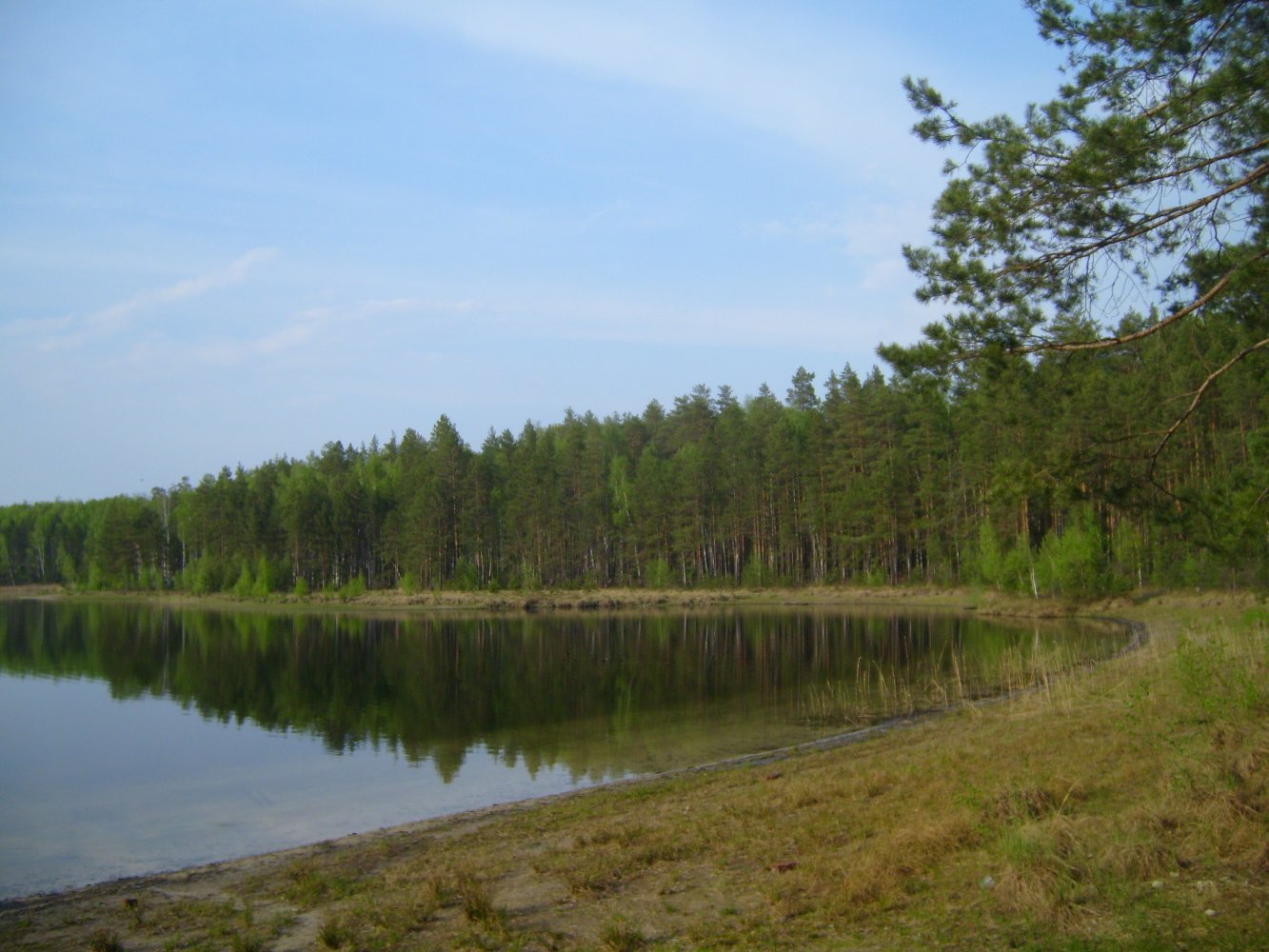 широха озеро меленковский район